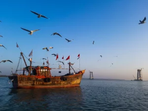 gujarat_1