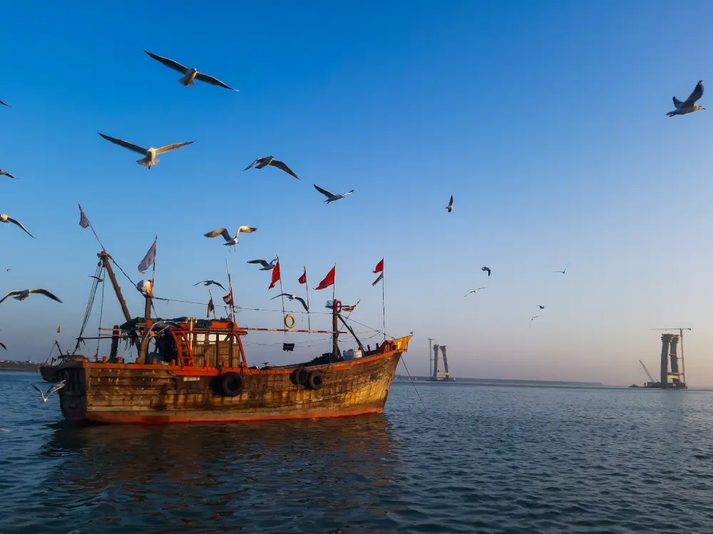 gujarat_1