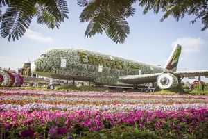 miraclegarden