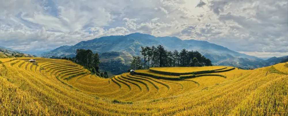 vietnam_2